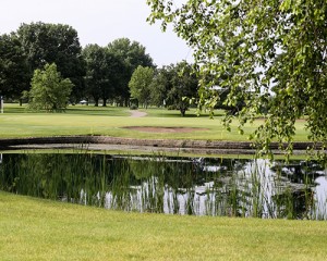 hickory3