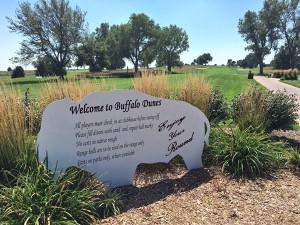 buffalo-dunes
